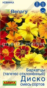 Бархатцы откл. Диско Смесь 7шт Одн 25см (Аэлита)