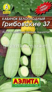 Кабачок Грибовские 37, Аэлита
