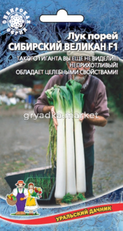 Лук порей Сибирский Великан F1 (УД) ЧСС