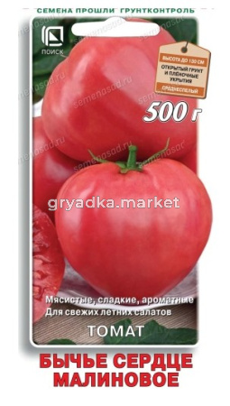 Скриншот 25-06-2026 101625