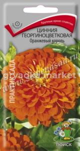 Цинния Оранжевый король 0,4г георгиноцв. Поиск