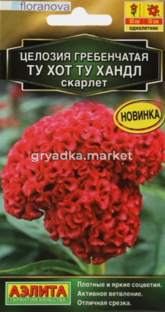 Целозия Ту хот ту хандл скарлет гребенчатая 5шт Одн 50см (Аэлита)