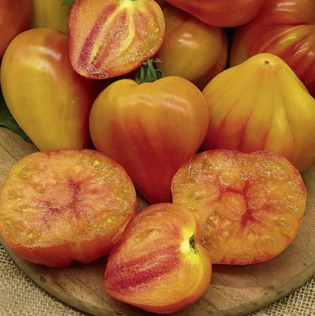 Скриншот 31-10-2024 102753