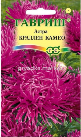 Астра Краллен Камео темно-роз. 0,3г-махр- Гавриш