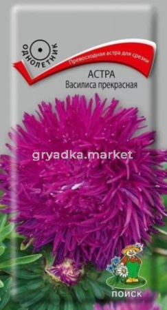 Астра Василиса прекрасная 0,3г (Поиск)