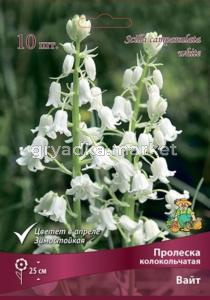 Пролеска (Сцилла) сибирская Вайт 10шт (цветки небесно-голубые, 7-8 h25см)