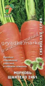 Морковь Шантенэ 2461 2г (Поиск)