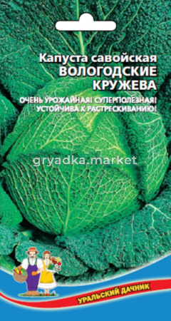 Капуста савойская Вологодские Кружева , ср-спел (УД) ЧСС