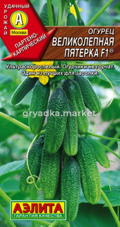 Огурец Великолепная пятерка F1 ® 10шт Парт Ранн (Аэлита)