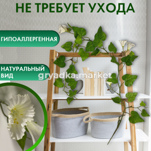 Иск.цветы Лиана вьюнок h104 см3