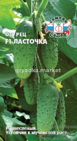 Огурец Ласточка F1 0,3г. (Седек)
