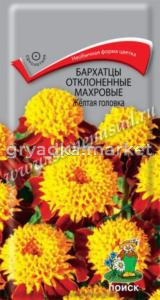 Бархатцы откл.Желтая головка 0,4г.Поиск