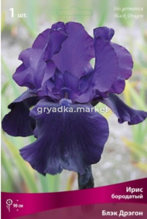 Ирис бородатый Блэк Дрэгон (тёмно-сиреневый, 1шт, I)
