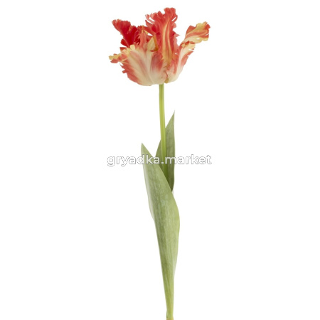 88