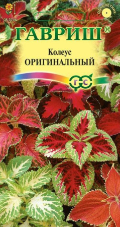 Колеус Оригинальный смесь 0,05 Гавриш