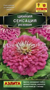 Цинния Сенсация розовая 12шт Одн 40см (Аэлита)