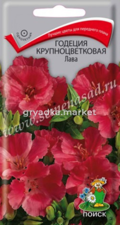 Годеция Лава 0,2гр. Поиск