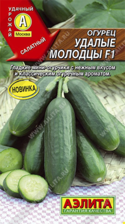 Огурец Удалые молодцы F1 (Аэлита)