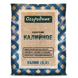 Frame 63444КТ БУБи 01