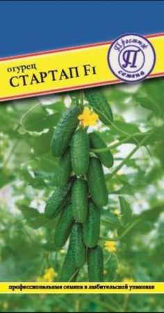 Огурец Стартап F1 5шт Парт Ранн (Престиж) Голландия