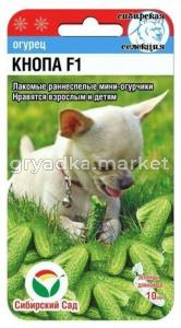 Огурец Кнопа F1 7шт Ранн (Сиб сад)