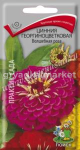 Цинния Волшебная роза, георгин. 0,4г. Поиск