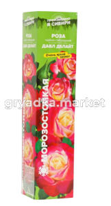 Скриншот 26-03-2025 154715-Photoroom