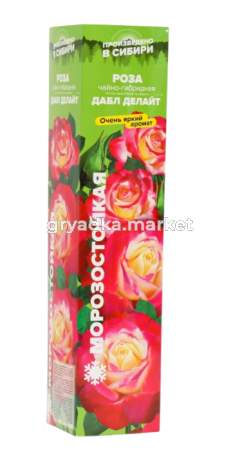 Скриншот 26-03-2025 154715-Photoroom