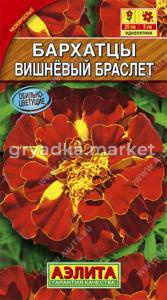 Бархатцы откл.Вишневый браслет -25см- Аэл.