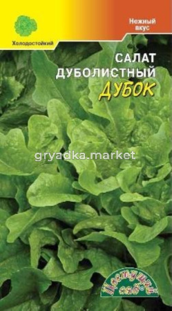 Салат Дубок Цвет.сад.
