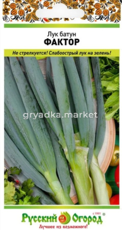 Лук батун Фактор 0,5г Ср (НК)