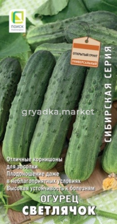 Огурец Светлячок 15шт  (Поиск)  сиб