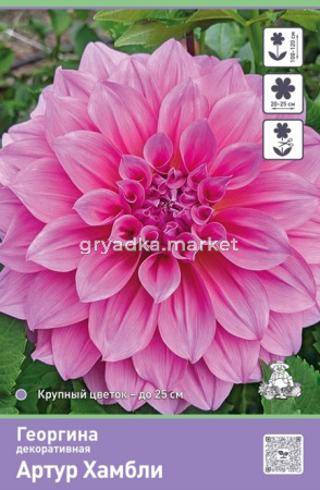 Скриншот 14-02-2025 120120