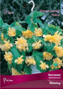 Бегония ампельная Йеллоу 2шт.4-5