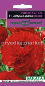 Ранункулюс Цветущая долина красная 3шт Гавриш