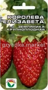 Земляника (Клубника) Королева Елизавета(Сиб. сад.)
