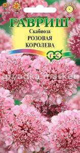 Скабиоза темнопурпурная Розовая королева махр. 6шт Одн 90см (Гавриш) Н22