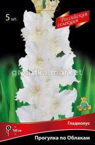 Гладиолус гофрированный Прогулка По Облакам (белые с нежно-кремовым нижним лепестком, 5шт, 12+)