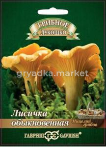 Мицелий Лисички на зерновом субстрате 15 мл (Гавриш)