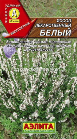 Иссоп Лекарственный белый (Аэлита)