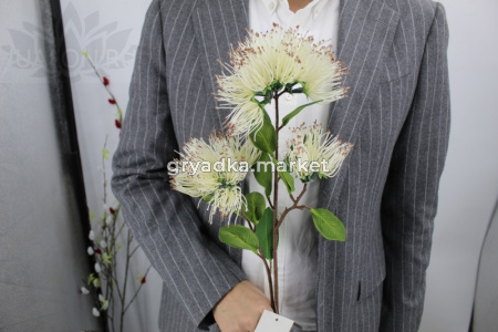 Искусственные цветы Метросидерос белый Н65см