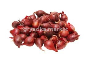 Лук-севок Кармен (красный) 14-21  20-+кг Чувашия