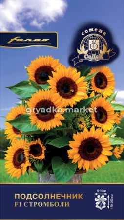 Подсолнечник декор. Подсолнечник Стромболи (короткого дня) 5шт Ранн (Седек)