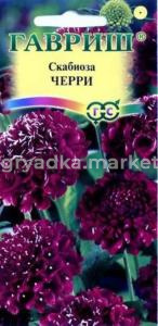 Скабиоза Черри пурпурная 0,5г. Гавриш