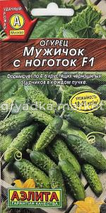 Огурец Мужичок с ноготок F1 10шт Парт Ср (Аэлита)