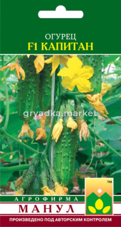 Огурец Капитан F1,Пч,д-бочк.засола Манул