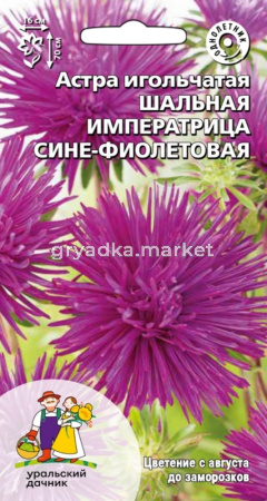 Астра Шальная императрица сине-фиолетовая игольчатая 0,2г Одн 70см (УД)
