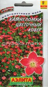 Камнеломка Цветочный ковер, Аэлита