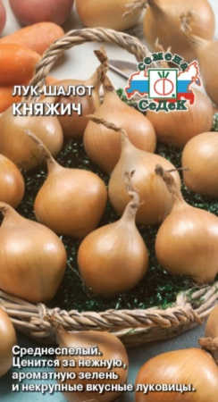 Лук шалот Княжич 0,3г Ранн (Седек)