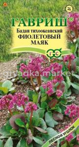 Бадан Фиолетовый маяк тихоокеанский  0,01г (Гавриш) Н23
